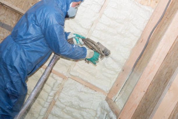 Best Basement Insulation  in Tipp City, OH